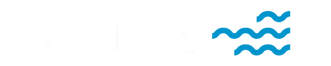 Vive Valdivia